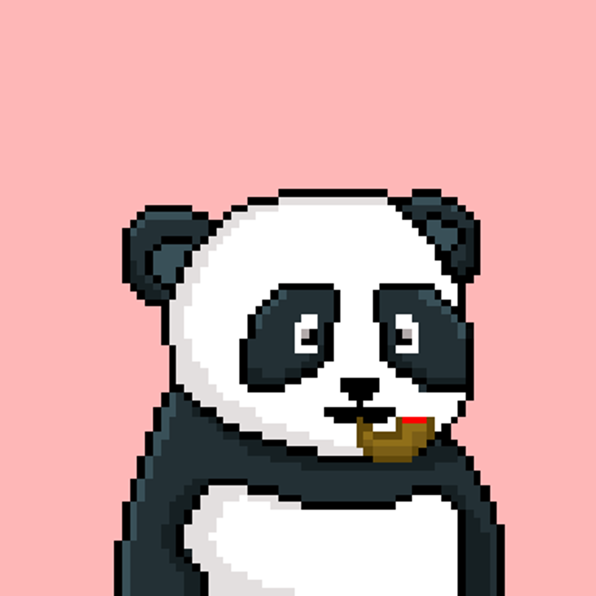 NEAR Panda Squad #2080