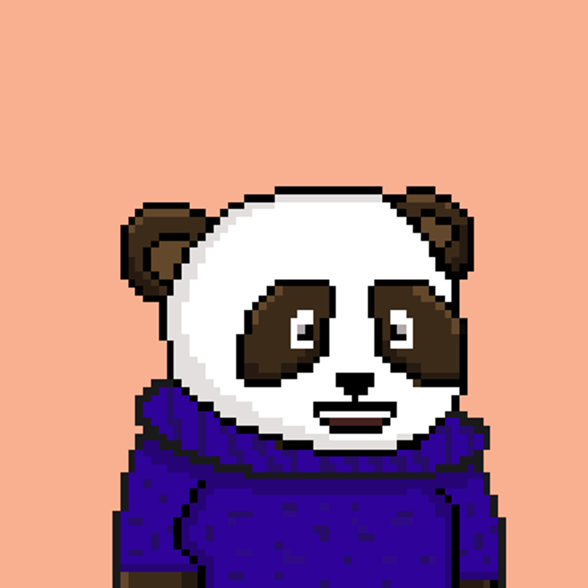 NEAR Panda Squad #593