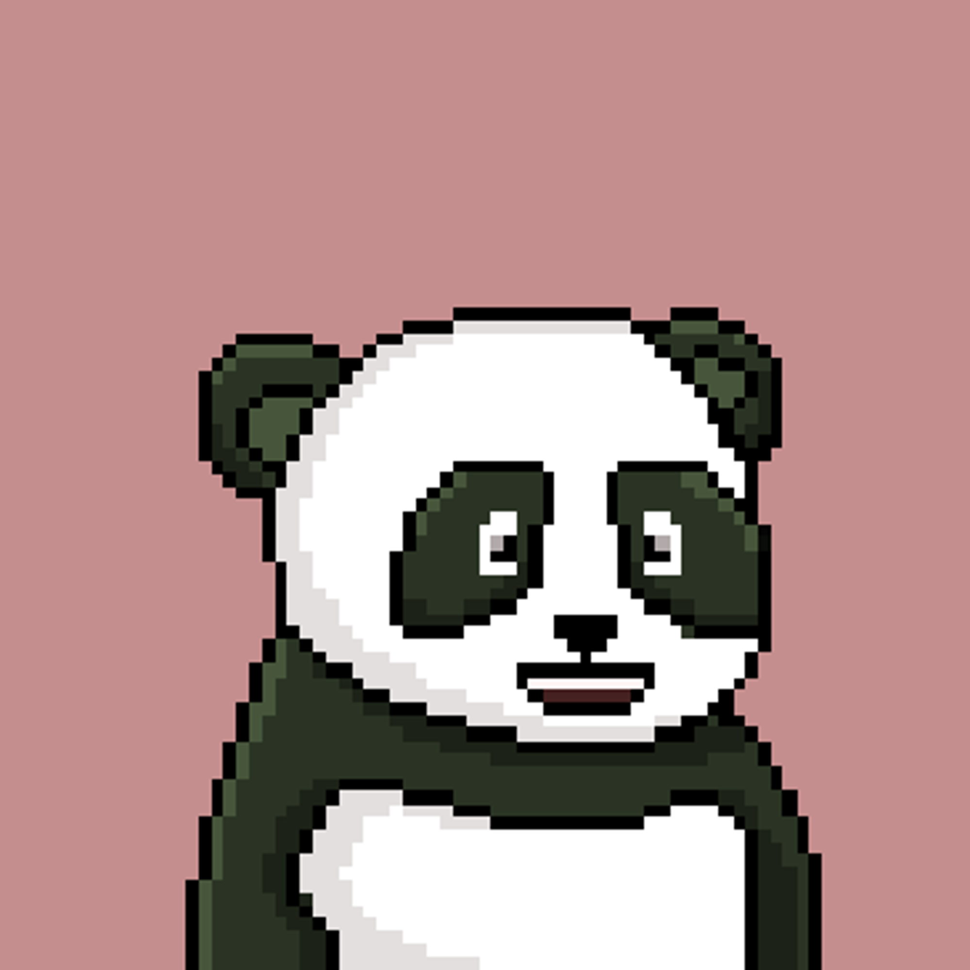 NEAR Panda Squad #696