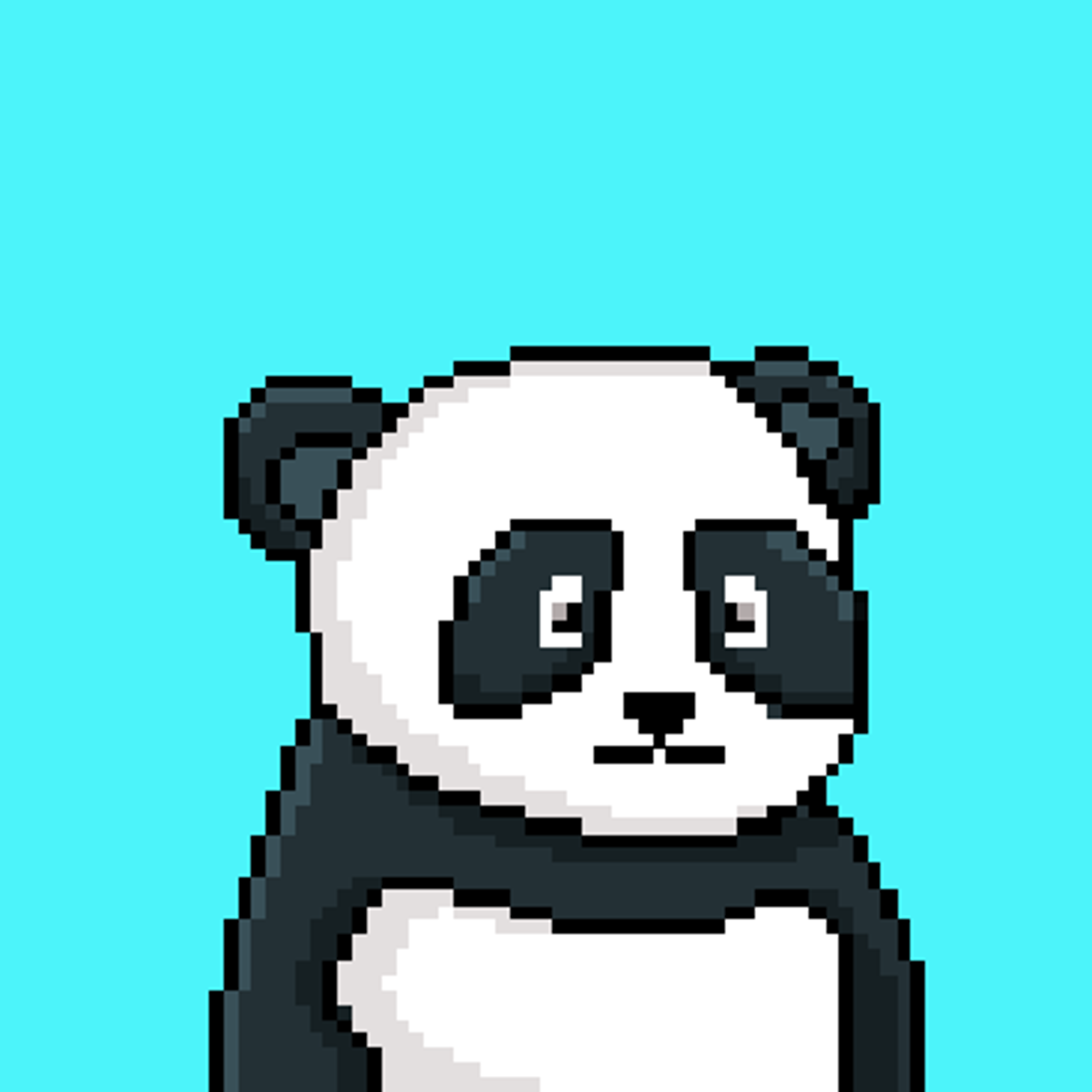 NEAR Panda Squad #849