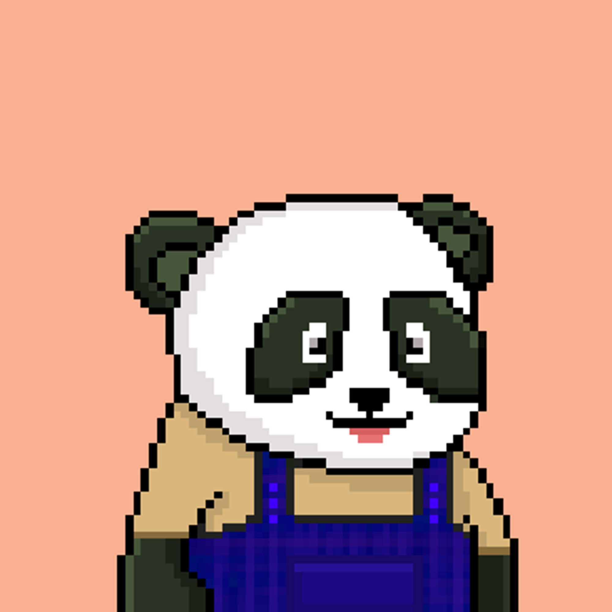 NEAR Panda Squad #897