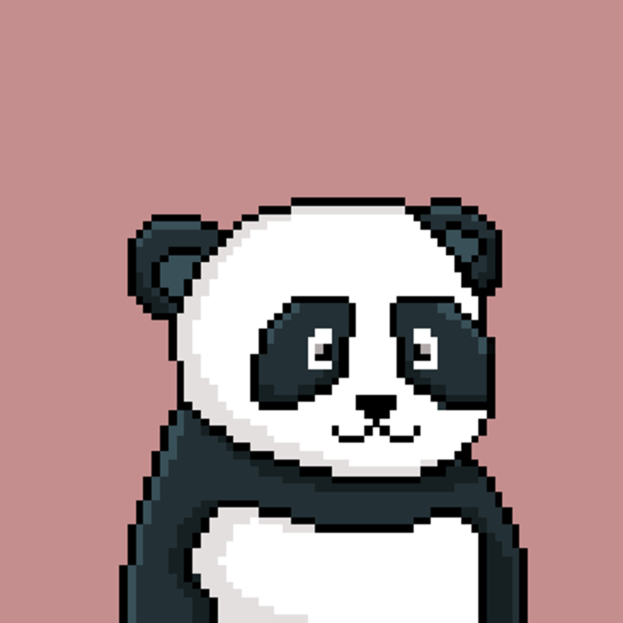 NEAR Panda Squad #993
